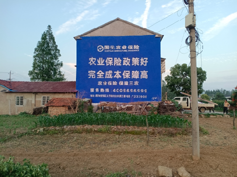 大理墙体广告为何受追捧？